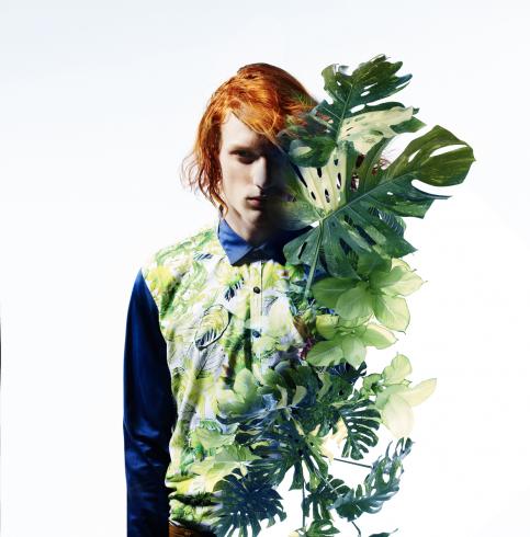 DPcampaign 003